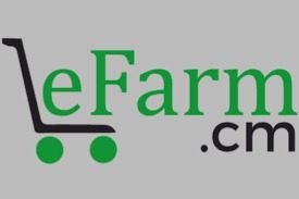 Farm